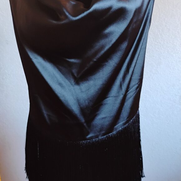 NWT Rachel Zoe 2 (two) piece fringe tank top and skirt set. Small. - Picture 2 of 11